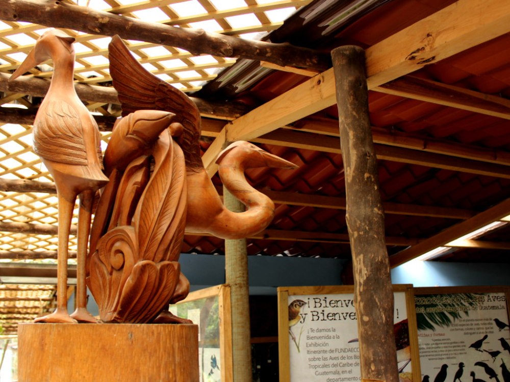 Museo Metropolitano de Aves