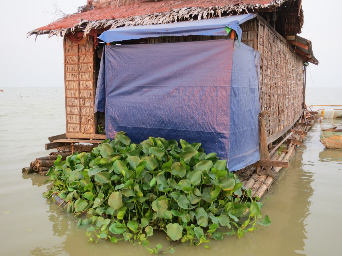 Humedales trabajando